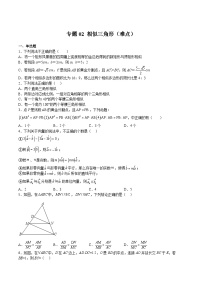 沪教版九年级数学上册期中期末挑战满分冲刺卷专题02相似三角形(难点)(原卷版+解析)