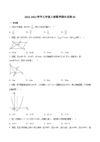 沪教版九年级数学上册期中期末挑战满分冲刺卷期末试卷02(原卷版+解析)