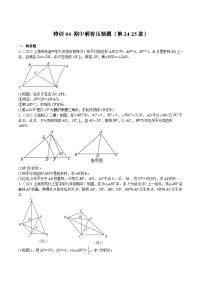 沪教版九年级数学上册期中期末挑战满分冲刺卷特训04期中解答压轴题(第24-25章)(原卷版+解析)