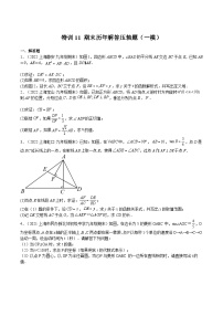 沪教版九年级数学上册期中期末挑战满分冲刺卷特训11期末历年解答压轴题(一模)(原卷版+解析)