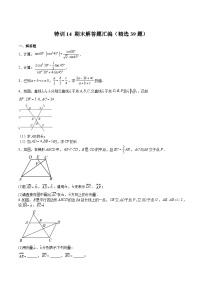 沪教版九年级数学上册期中期末挑战满分冲刺卷特训14期末解答题汇编(精选39题)(原卷版+解析)