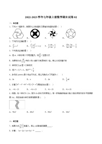 沪教版七年级数学上册期末试卷02(原卷版+解析)