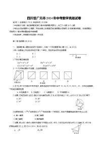 2024年四川省广元市中考数学真题试卷(含答案)