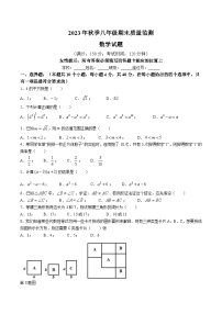 福建省泉州市永春县2023-2024学年八年级上学期期末质量监测数学试卷(含答案)