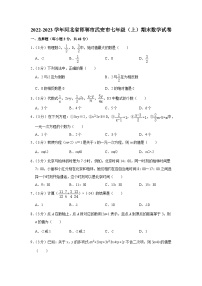 河北省邯郸市武安市2022-2023学年七年级（上）期末数学试卷（人教版，含答案)