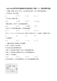 河北省秦皇岛市青龙县2023-2024学年八年级上学期期末教学质量诊断数学试卷(含解析)