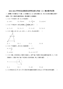 河北省秦皇岛市青龙县2024届九年级上学期期末考试数学试卷(含解析)