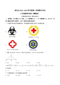 河北省张家口市宣化区2023-2024学年八年级上学期期末考试数学试卷（冀）(含解析)