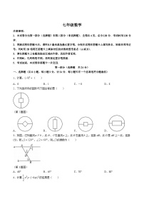 初中数学北京课改版七年级下册7.2 实验同步测试题