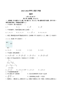四川省成都市天府新区2023-2024学年八年级上学期期末考试数学试卷(含答案)