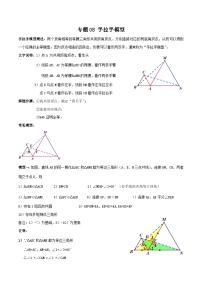 中考数学一轮复习满分突破(全国通用)专题08手拉手模型(原卷版+解析)