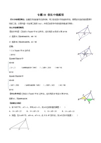 中考数学一轮复习满分突破(全国通用)专题09倍长中线模型(原卷版+解析)