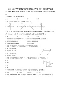 2023-2024学年湖南省长沙市雨花区八年级（下）期末数学试卷（含解析）