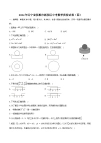 2024年辽宁省抚顺市新抚区中考数学质检试卷（四）（含解析）