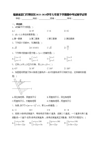 福建省厦门市翔安区2023-2024学年七年级下学期期中考试数学试卷(含答案)