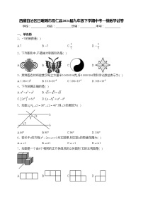 西藏自治区日喀则市昂仁县2024届九年级下学期中考一模数学试卷(含答案)