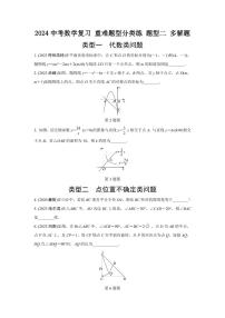 2024中考数学复习 重难题型分类练 题型二 多解题 (含答案)