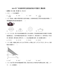 2024年广东省深圳市宝安实验学校中考数学三模试卷