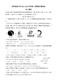 广东省深圳市深圳高级中学2023-2024学年八年级下学期期末考试数学试卷