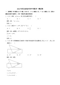 河北省沧州市2024届九年级下学期中考一模数学试卷(含解析)