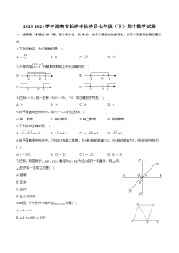 湖南省长沙市长沙县2023-2024学年七年级下学期4月期中考试数学试卷(含解析)