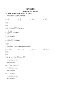 广东省惠州市第一中学2023-2024学年八年级下学期期中考试数学试卷(含解析)
