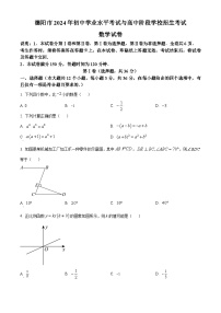 2024年四川省德阳市中考数学试题