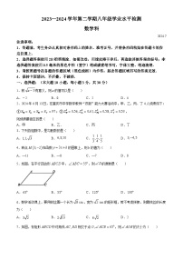 广东省肇庆市高要区2023-2024学年八年级下学期期末数学试题(无答案)