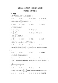 浙教版八年级数学下册基础知识专项讲练 专题1.13 二次根式（全章复习与巩固）（培优篇）（含答案）