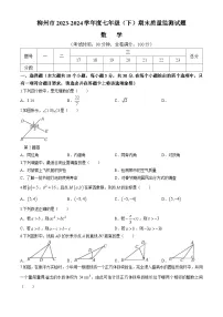 广西壮族自治区柳州市2023-2024学年七年级下学期期末数学试题