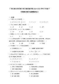 广西壮族自治区南宁市天桃实验学校2023-2024学年八年级下学期期末数学试题模拟练习