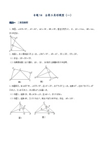 北师大版七年级数学下册常考题专练专题14全等三角形模型(一)(原卷版+解析)