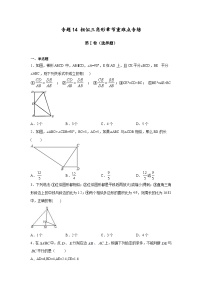 沪教版九年级上册数学专题训练专题14相似三角形章节重难点专练(原卷版+解析)