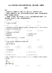 广西壮族自治区梧州市苍梧县2023-2024学年七年级下学期期末数学试题