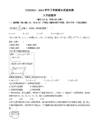 河南省许昌市禹州市2023-2024学年八年级下学期期末数学试题