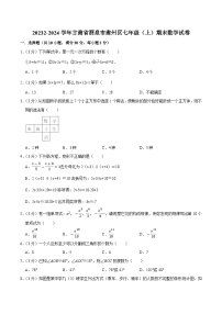 甘肃省酒泉市肃州区2023-2024学年七年级上学期期末考试数学试卷(含解析)