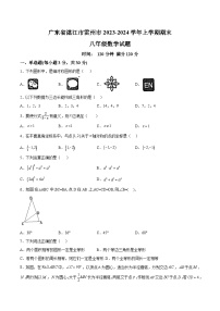 广东省湛江市雷州市2023-2024学年八年级上学期期末考试数学试卷(含解析)