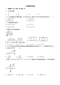 2024年吉林省长春市第八十七中学九年级中考数学模拟试题(无答案)