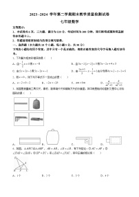 河南省洛阳市新安县2023-2024学年七年级下学期期末数学试题