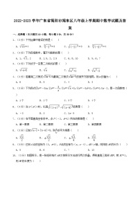 2022-2023学年广东省揭阳市揭东区八年级上学期期中数学试题及答案