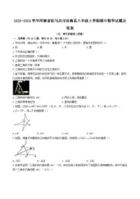 2023-2024学年河南省驻马店市汝南县八年级上学期期中数学试题及答案