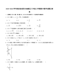 2023-2024学年陕西省咸阳市秦都区八年级上学期期中数学试题及答案