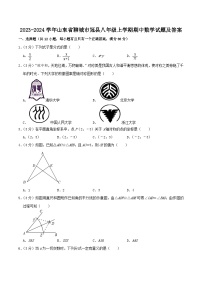 2023-2024学年山东省聊城市冠县八年级上学期期中数学试题及答案