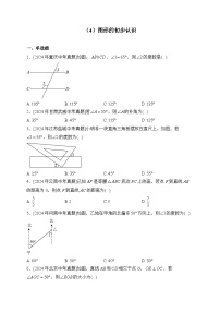 （4）图形的初步认识——2024年中考数学真题专项汇编