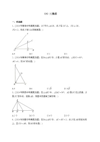 （5）三角形——2024年中考数学真题专项汇编