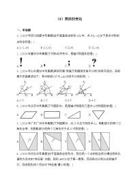（8）图形的变化——2024年中考数学真题专项汇编