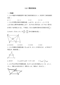 （12）图形的相似——2024年中考数学真题专项汇编