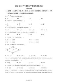 广东东莞2024年八年级下学期期末数学试题+答案