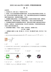 广省深圳龙岗区2024年七年级下学期期末数学试题+答案
