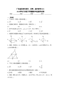 广东省东莞市虎外、丰泰、嘉外联考2023-2024学年八年级下学期期中考试数学试卷(含答案)
